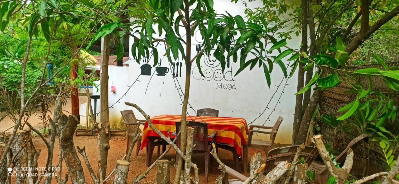 Sigiri Picaso Home Stay Sigiriya Exterior foto