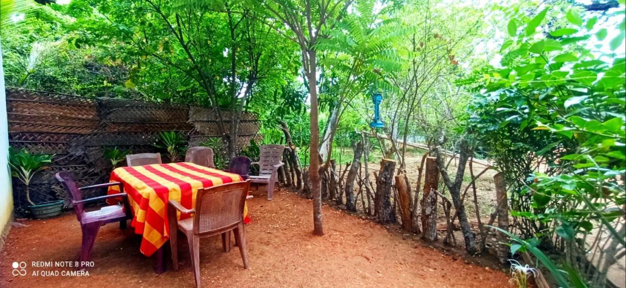 Sigiri Picaso Home Stay Sigiriya Exterior foto