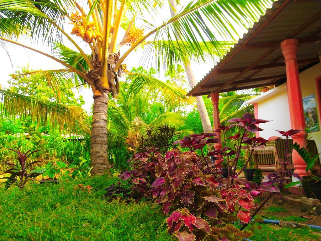 Sigiri Picaso Home Stay Sigiriya Exterior foto