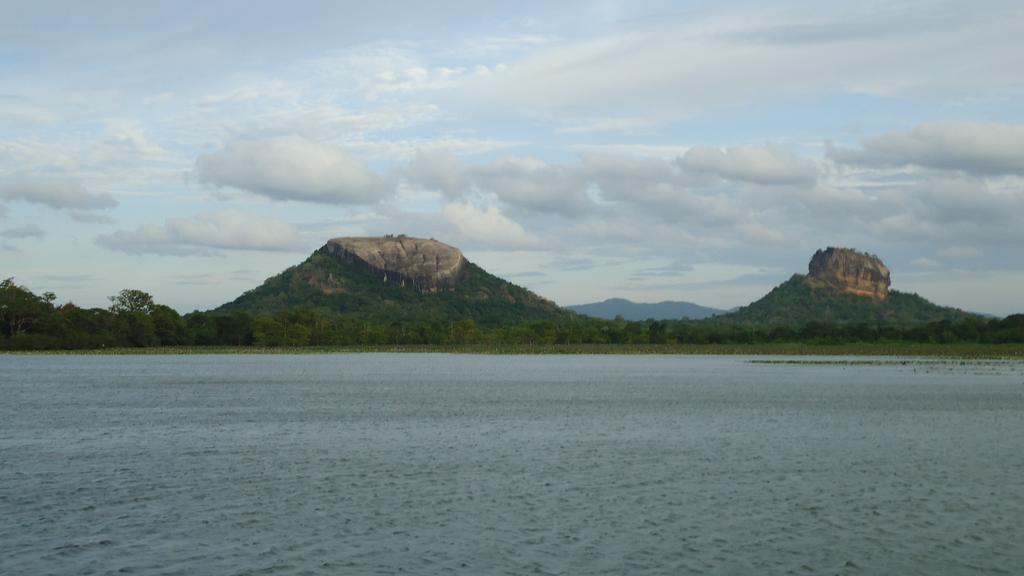 Sigiri Picaso Home Stay Sigiriya Exterior foto