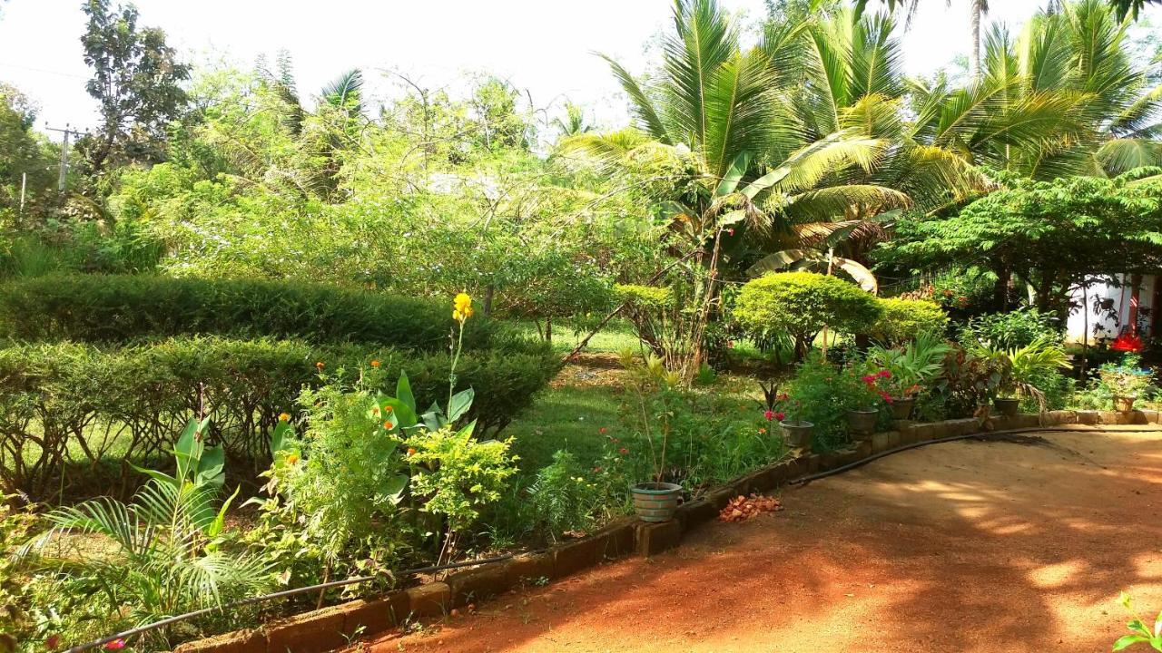 Sigiri Picaso Home Stay Sigiriya Exterior foto