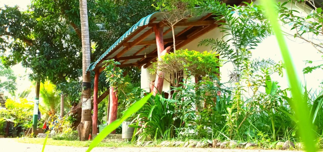 Sigiri Picaso Home Stay Sigiriya Exterior foto