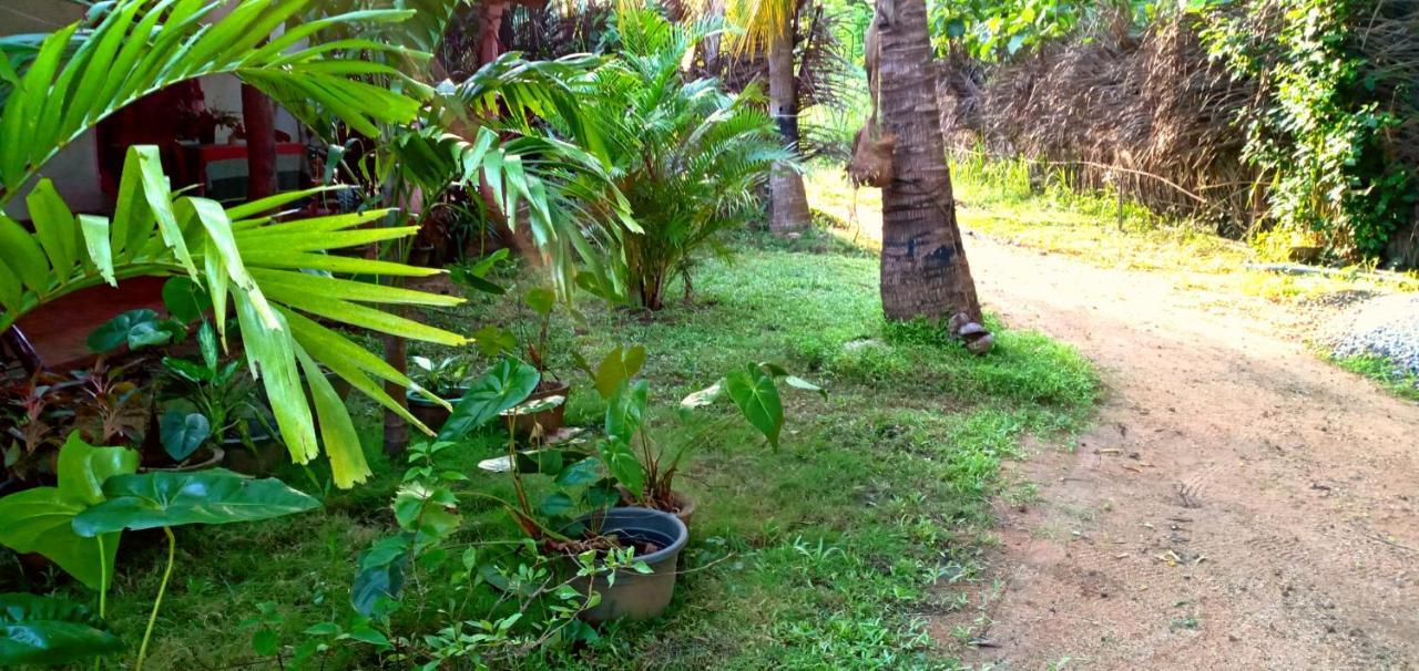 Sigiri Picaso Home Stay Sigiriya Exterior foto