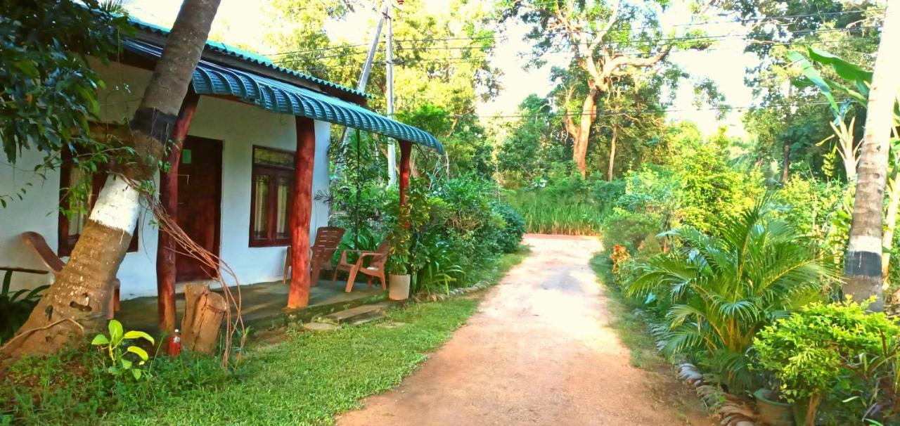 Sigiri Picaso Home Stay Sigiriya Exterior foto